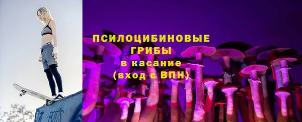 мдпв Верхний Тагил