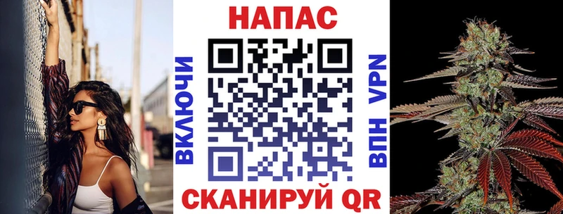 Марихуана семена  Северская 